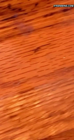 cumpdump taylor (38)-0VPzQ1j6.mp4